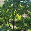 6 views
